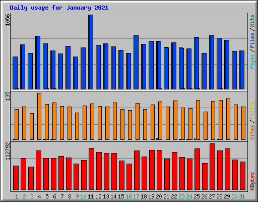 Daily usage for January 2021