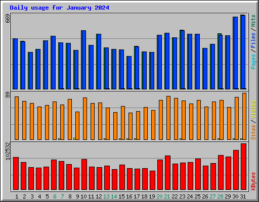 Daily usage for January 2024