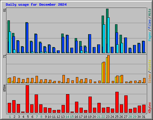 Daily usage for December 2024