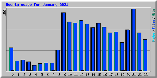 Hourly usage for January 2021
