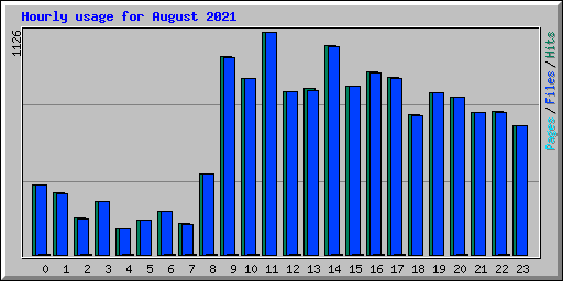 Hourly usage for August 2021
