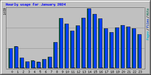 Hourly usage for January 2024