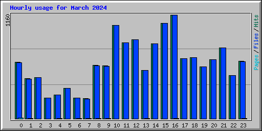 Hourly usage for March 2024