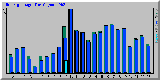 Hourly usage for August 2024