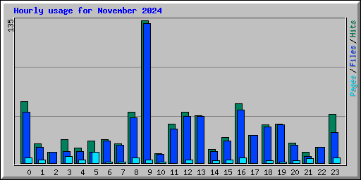 Hourly usage for November 2024