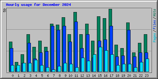 Hourly usage for December 2024