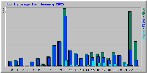 Hourly usage for January 2025