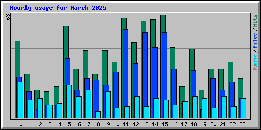 Hourly usage for March 2025