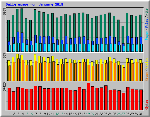 Daily usage for January 2019