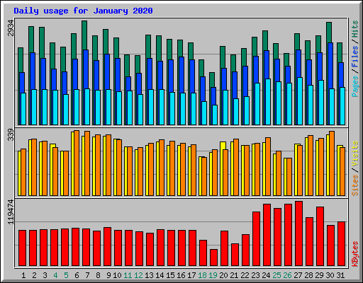 Daily usage for January 2020