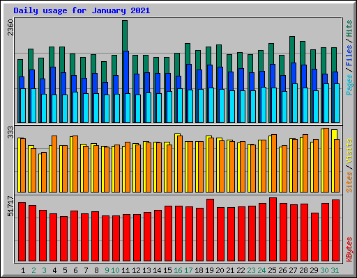 Daily usage for January 2021