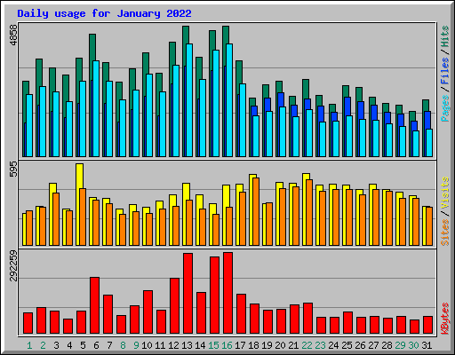 Daily usage for January 2022