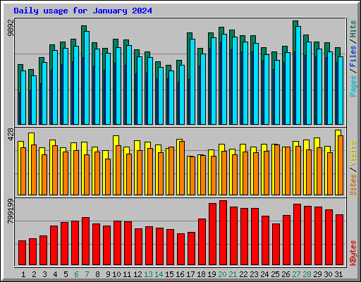 Daily usage for January 2024