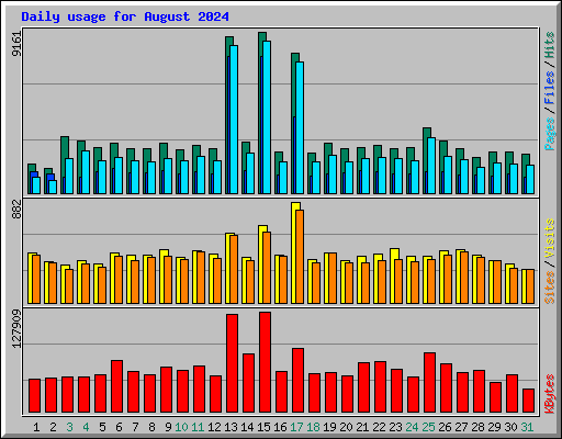 Daily usage for August 2024