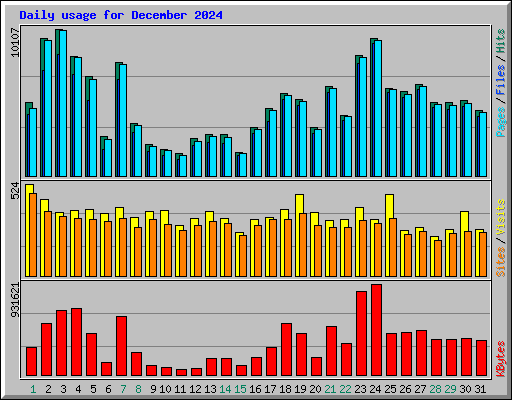 Daily usage for December 2024