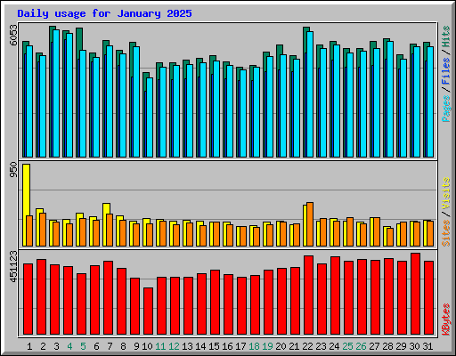Daily usage for January 2025