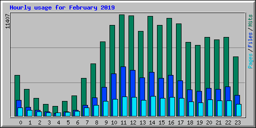 Hourly usage for February 2019