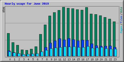 Hourly usage for June 2019