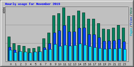 Hourly usage for November 2019