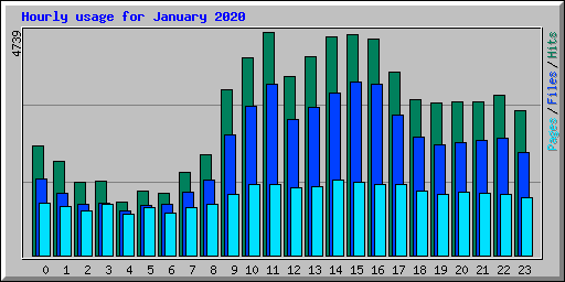 Hourly usage for January 2020