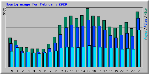 Hourly usage for February 2020