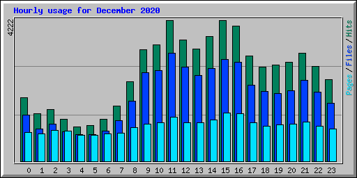 Hourly usage for December 2020