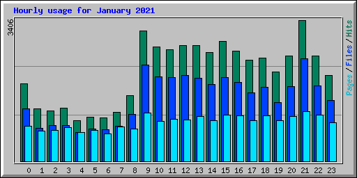 Hourly usage for January 2021