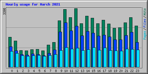 Hourly usage for March 2021