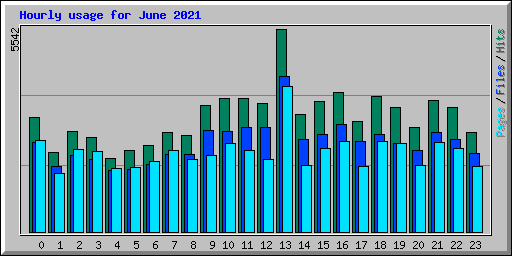 Hourly usage for June 2021