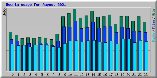 Hourly usage for August 2021