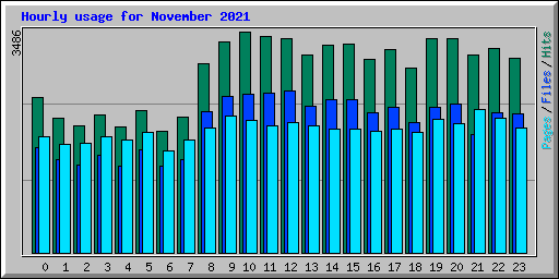 Hourly usage for November 2021