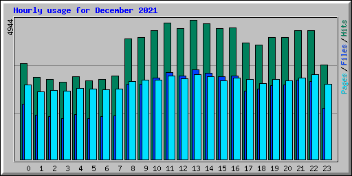 Hourly usage for December 2021