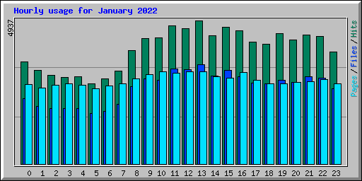 Hourly usage for January 2022