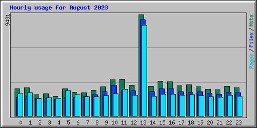 Hourly usage for August 2023