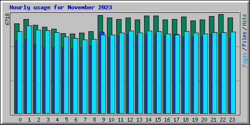 Hourly usage for November 2023