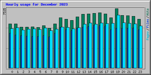 Hourly usage for December 2023