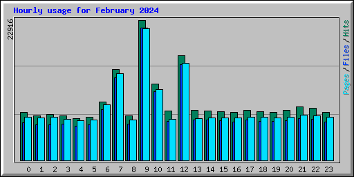 Hourly usage for February 2024