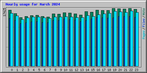 Hourly usage for March 2024