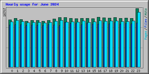 Hourly usage for June 2024