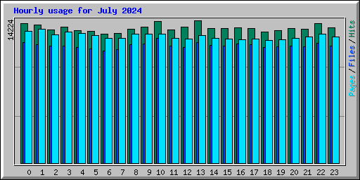 Hourly usage for July 2024