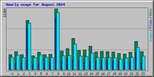 Hourly usage for August 2024
