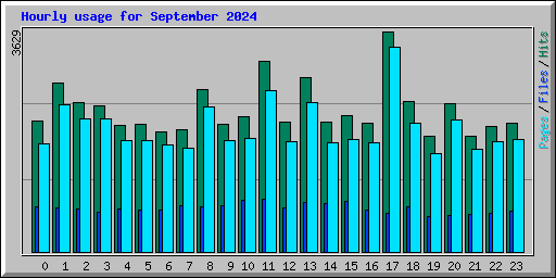 Hourly usage for September 2024