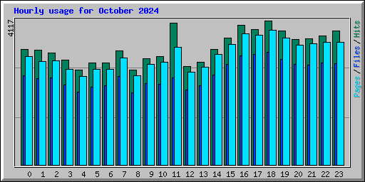 Hourly usage for October 2024