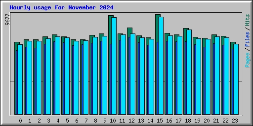 Hourly usage for November 2024