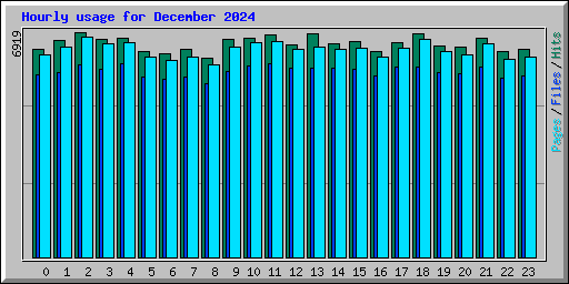 Hourly usage for December 2024