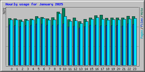 Hourly usage for January 2025