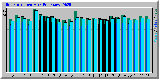 Hourly usage for February 2025