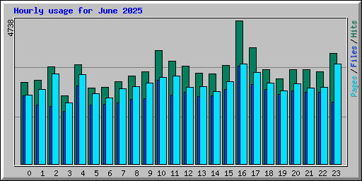 Hourly usage for June 2025