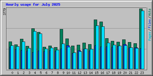 Hourly usage for July 2025