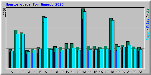 Hourly usage for August 2025